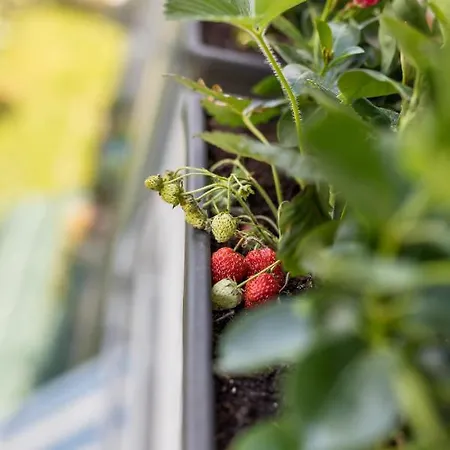 Exquisite Couples Delight With Free Bikes & Parking *